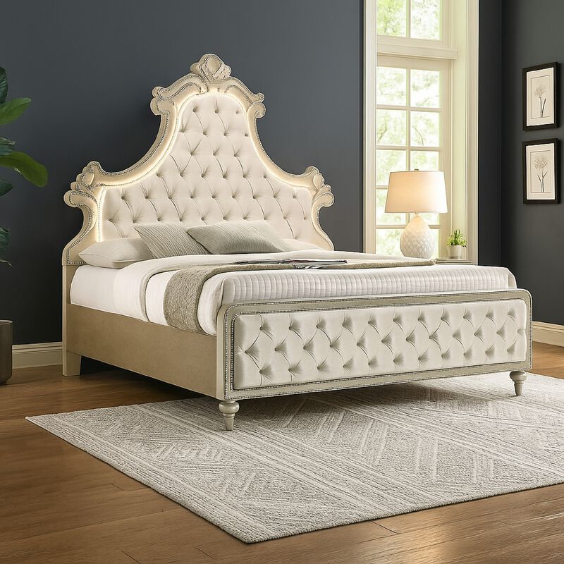 Willa Queen Size Bed, LED Lights, Beige Velvet Upholstery, Brown Wood image number 5