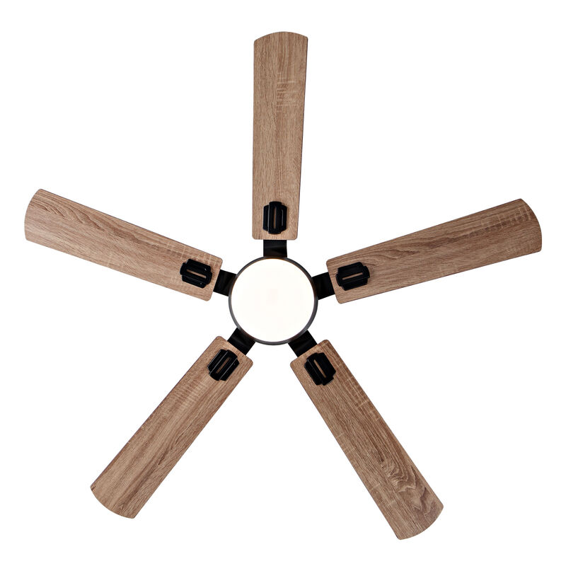 ELEMENT ACE 52 Inch Indoor Outdoor Ceiling Fan with Dimmable LED Light, Quiet Reversible DC Motor, 6 Speed Settings, Remote & App Control for Living Rooms Patios Porches image number 0
