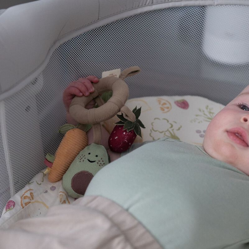 Clementine Fruits & Veggies Soft Plush Activity Ring image number 5