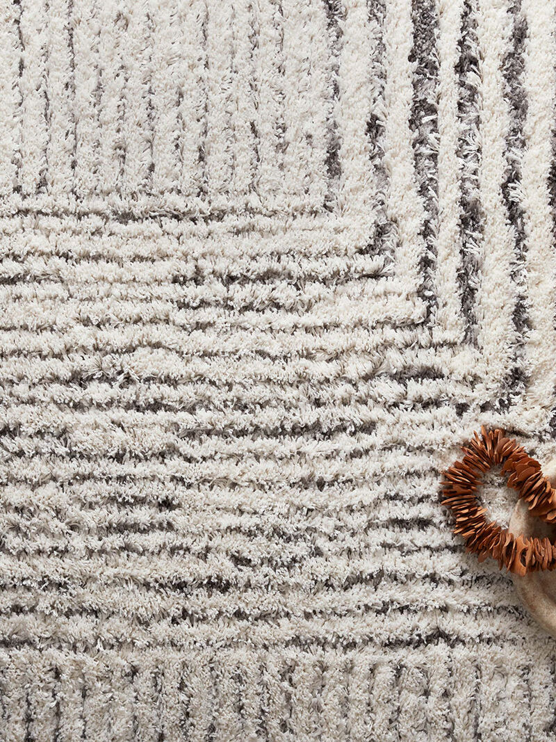 Levitt Shag Ivory/Grey 9'3" x 13' Area Rug