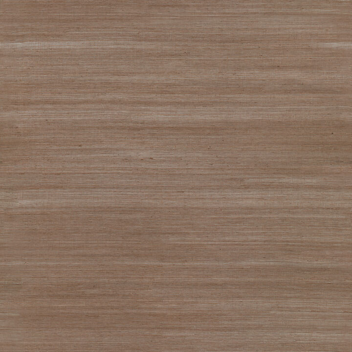 Caihon Rust Sisal Grasscloth Wallpaper (Set of 2)