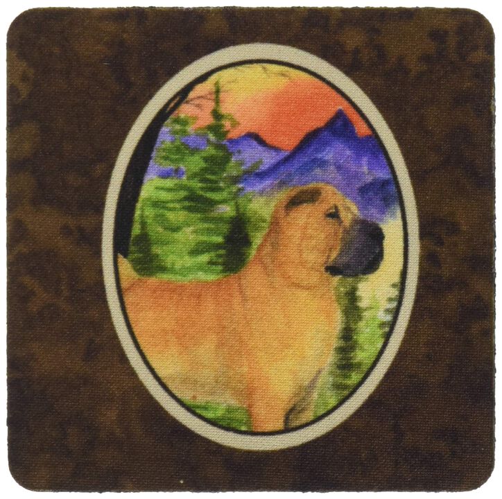 Caroline's Treasures SS8324FC Shar Pei Foam Coasters (Set of 4), 3.5 H x 3.5 W, Multicolor