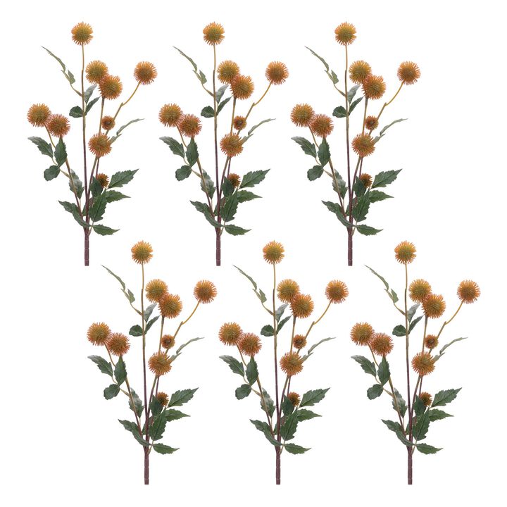 Set of 6 Thistle Pod Branch Stems for Vases, Bouquets, or Crafting