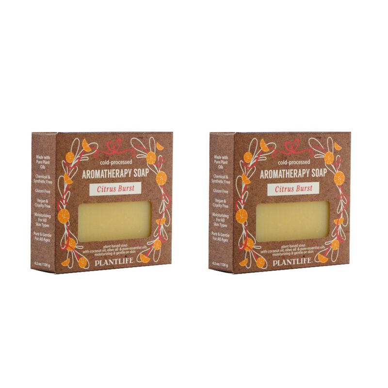 Plantlife Bar Soap - Citrus Burst 2 Pack image number 2