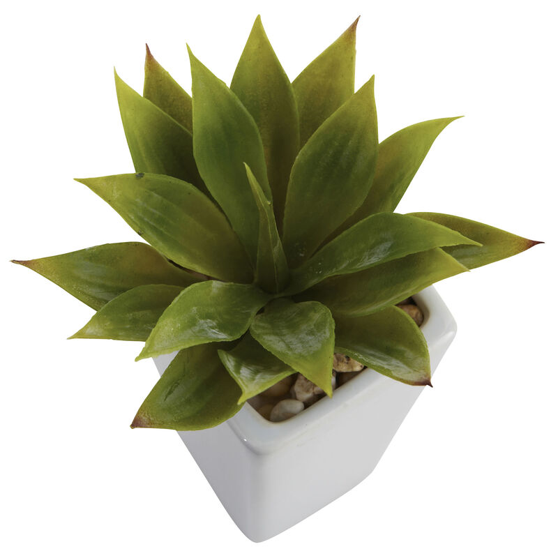 Hivvago Mini Agave w/ Planter (Set of 3) White