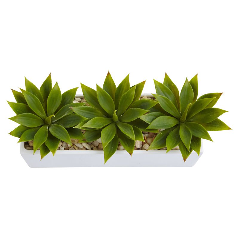Hivvago Agave Succulent in Rectangular Planter