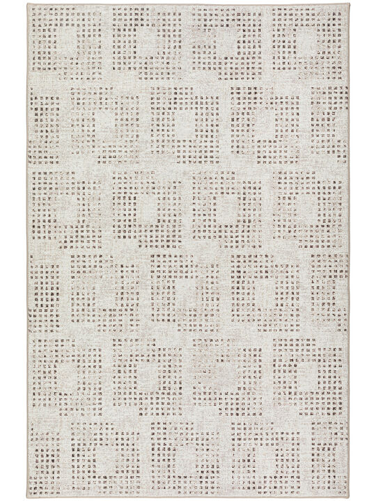 Delano DA1 Ivory 3' x 5' Rug