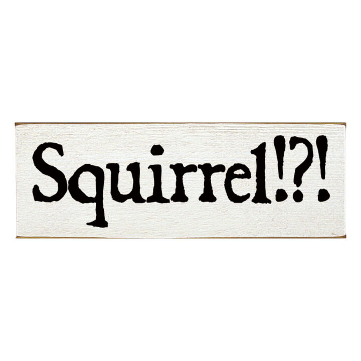 Squirrel Wood Sign Rustic Farmhouse Wall Decor for Living Room, Cabin or Entryway