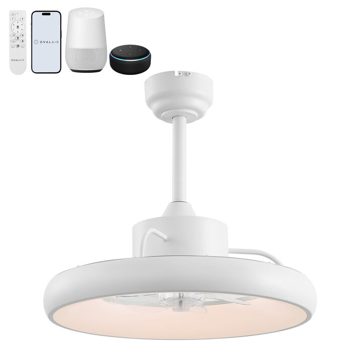 Loren Modern Contemporary 6-Speed Metal Mobile-App/Remote-Controlled Dimmable Smart Integrated LED Ceiling Fan