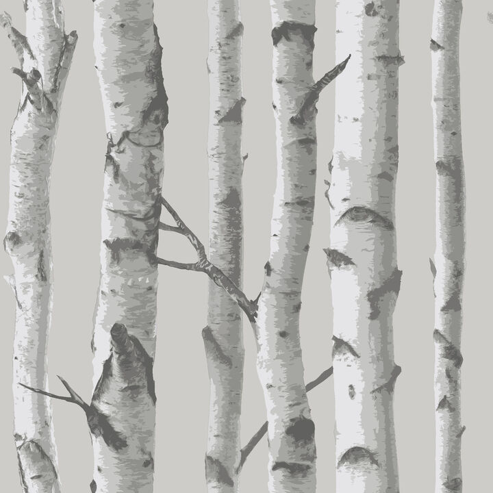 Grey Mountain Birch Peel & Stick Wallpaper