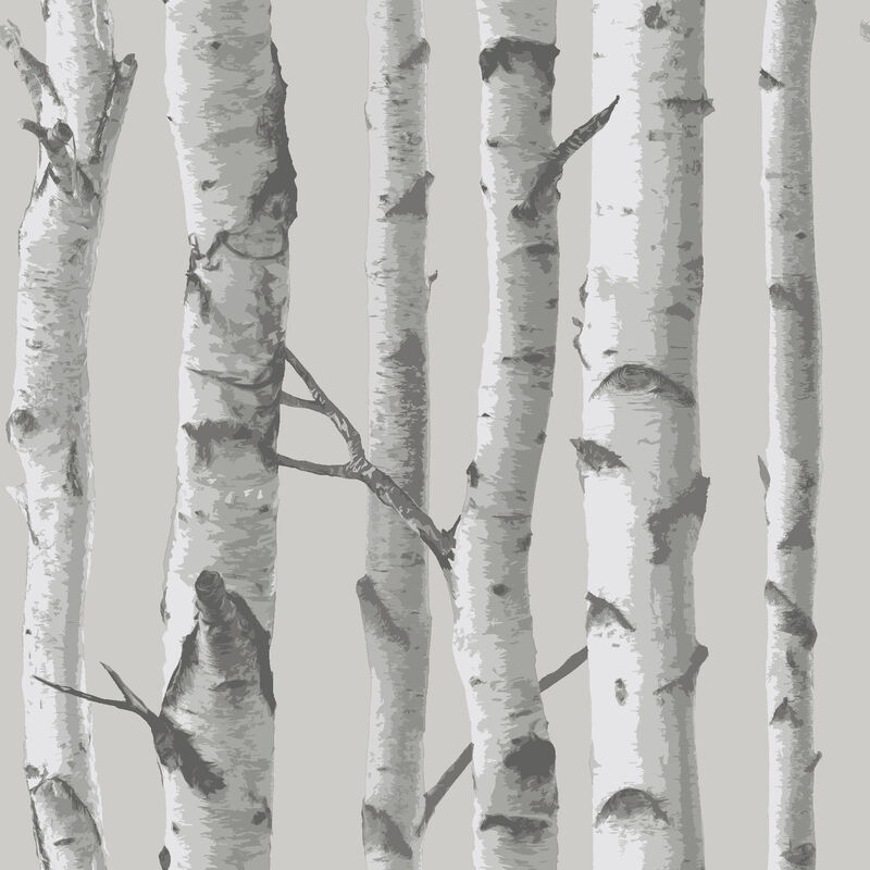Grey Mountain Birch Peel & Stick Wallpaper image number 0