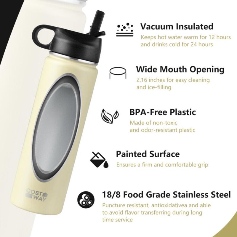 Costway22 Oz Double-walled Insulated Stainless Steel Water Bottle with 2 Lids and Straw