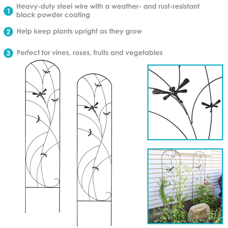 Sunnydaze 55 in Steel Dragonfly Delight Garden Plant Trellis - Set of 2