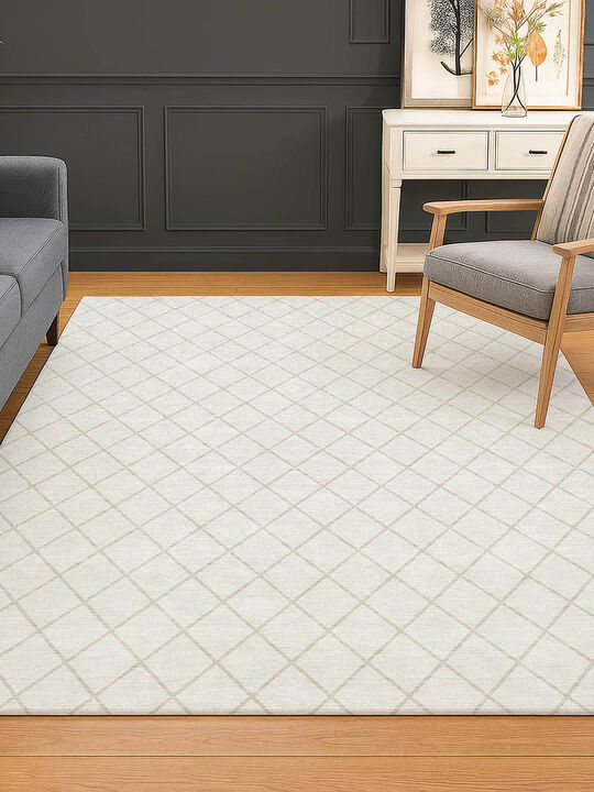 The Reserve TR15 Ivory 30" x 46" Rug