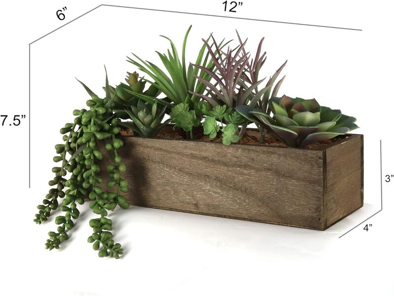 Succulent Arrangement in Planter Box, 12 Unique Styles, Realistic Potted Plants, Kitchen Tabletop Accents, Parties & Events, Home & Office Decor