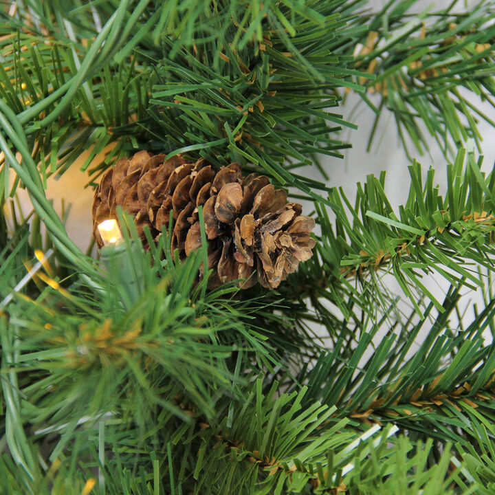 50' x 12" Pre-Lit Dakota Pine Artificial Christmas Garland - Warm White LED Lights