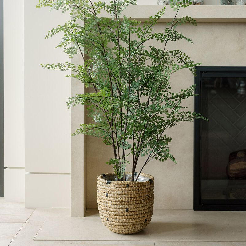 Faux Maidenhair Fern image number 2