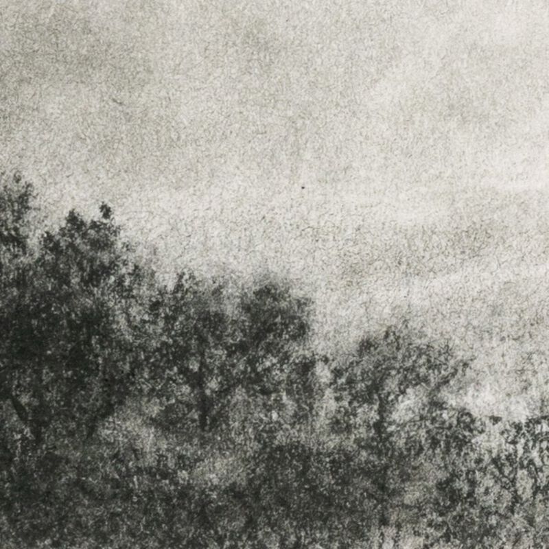 Hill Country Study I by Aileen Fitzgerald image number 4