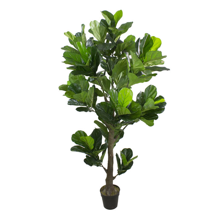 6.25' Potted Two Tone Green Artificial Wide Fiddle Leaf Fig Tree