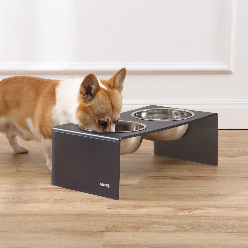 Keaton Modern Acrylic Rectangular Elevated Pet Feeder with Stainless Steel Bowls