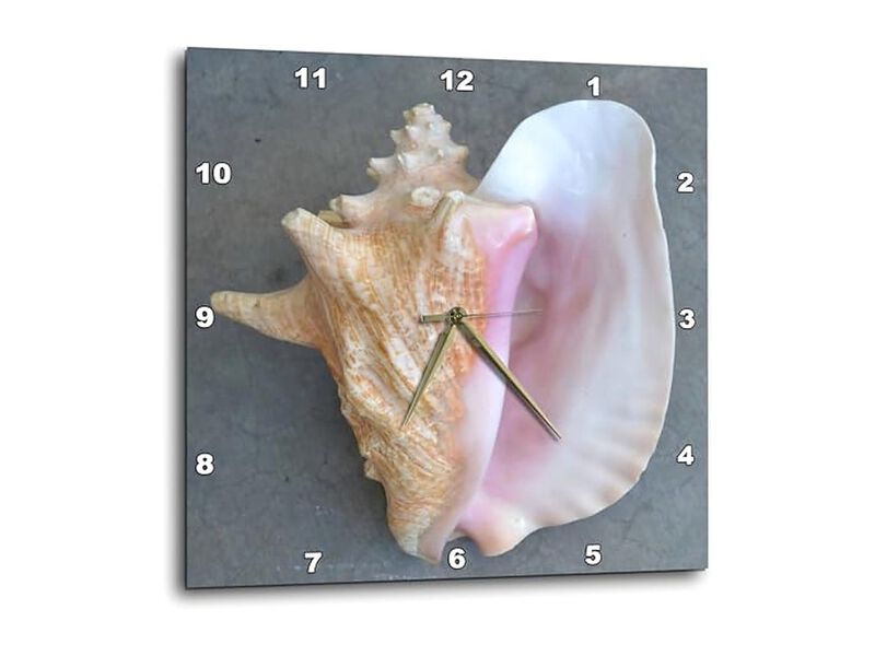 Conch Shell Wall Clock 10 Inch Home Decor image number 0