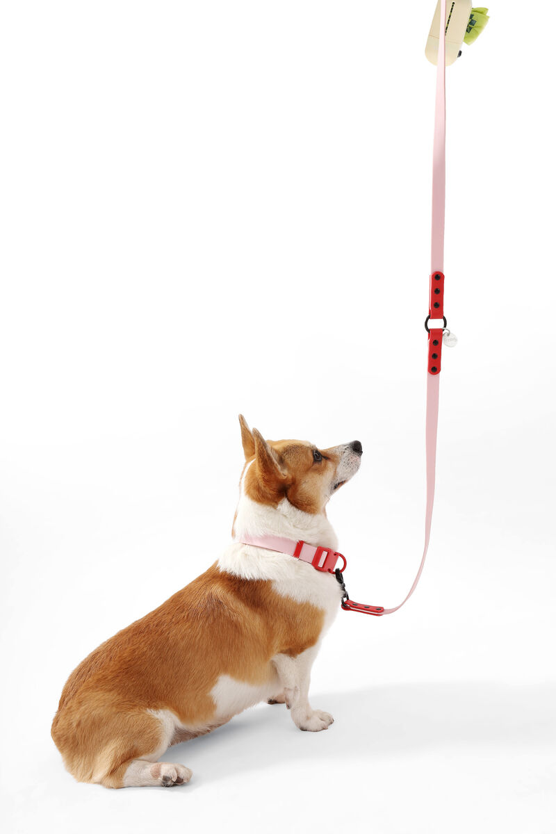 Luna  Adjustable 6-in-1 Waterproof Hands-Free Leash and Collar with LED Flashlight