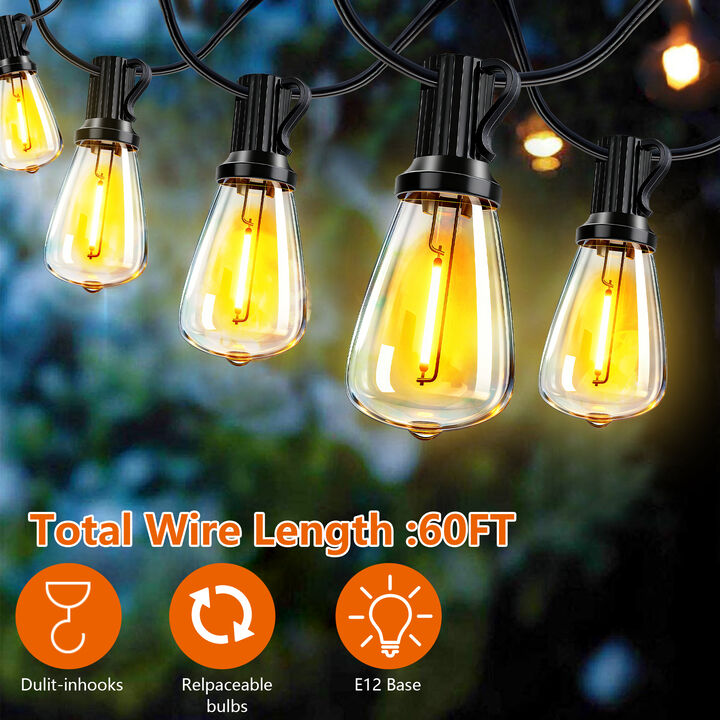 15-Light 60 ft. Outdoor Solar Powered Integrated LED Edison String Light