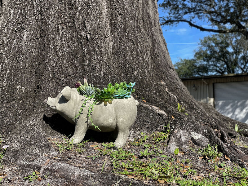 17 Inch Long Weathered Gray Finish Smiling Pig Planter image number 6