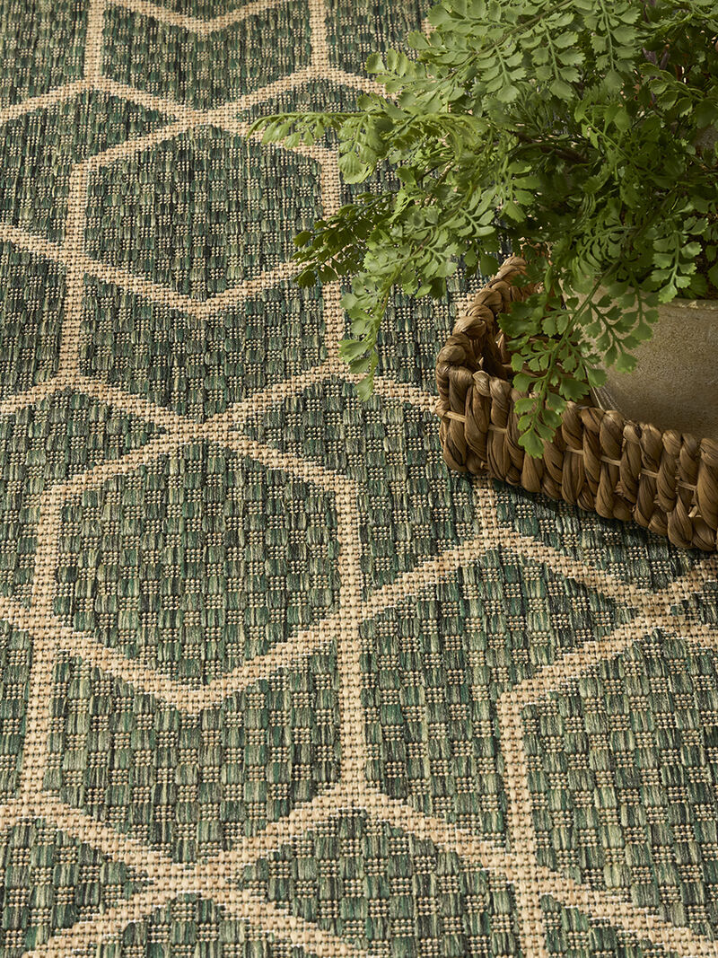 Horizon Indoor/Outdoor HOZ01 Green 5' x 7' Rug