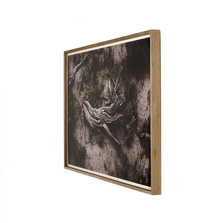 Bough By Shade Degges