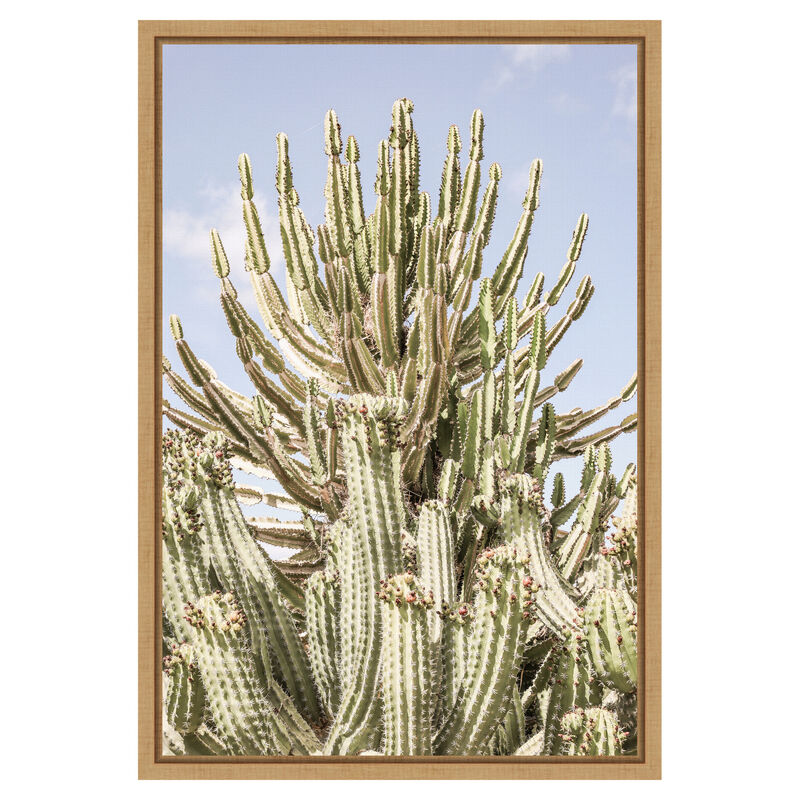Catus Forest by Shot by Clint Framed Canvas Wall Art image number 0