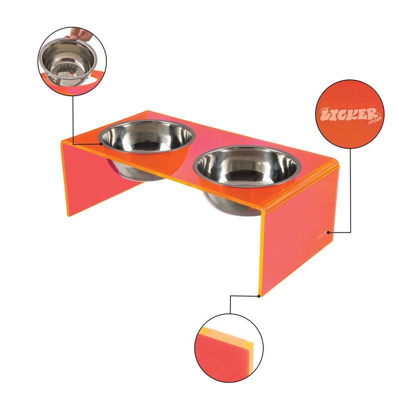 Keaton Modern Acrylic Rectangular Elevated Pet Feeder with Stainless Steel Bowls