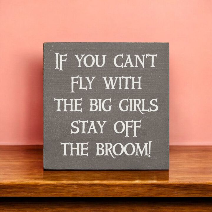 If You Can't Fly with the Big Girls Stay Off the Broom Wood Sign