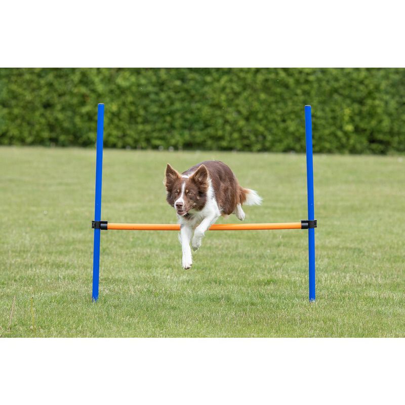 TRIXIE Dog Agility Hurdle, Obstacle Training image number 1