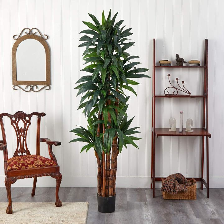 Hivvago 6.5 Feet Dracaena Tree