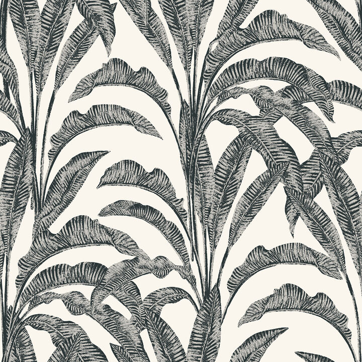 Luxe Tropical Palm Wallpaper