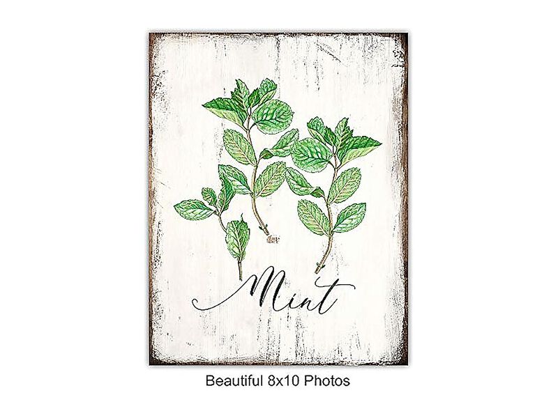Botanical Herbs Spices Kitchen Decor Dining Larousse Gastronomique Wall Art Cafe image number 3