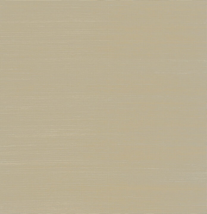 Sakiya Neutral Grasscloth Wallpaper (Set of 2)