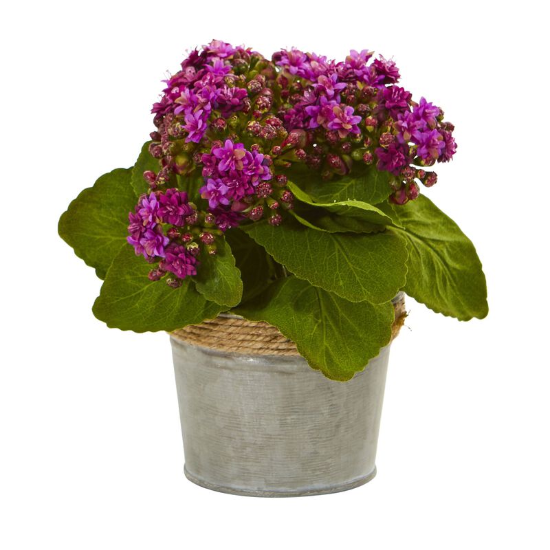Hivvago Kalanchoe Artificial Arrangements (Set of 3)