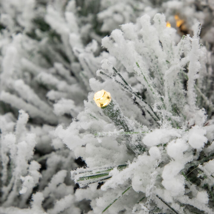 Pre-Lit Snowy Bristle Pine Christmas Wreath  24-Inch  Warm White LED Lights