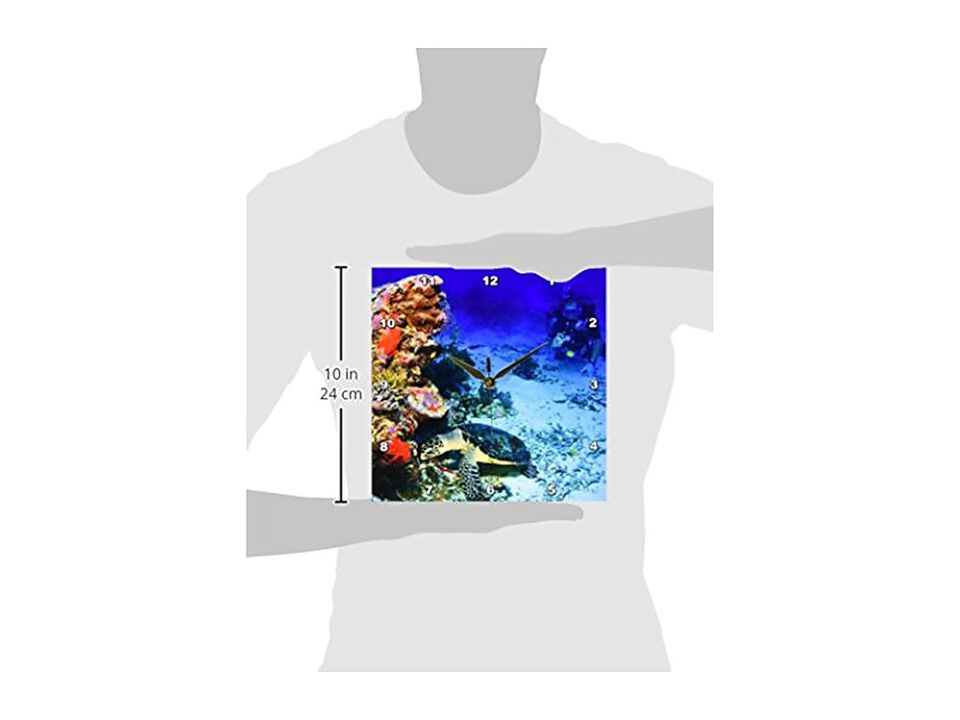 Hawksbill Turtle Scuba Diver Micronesia Wall Clock 10 Inch Home Decor