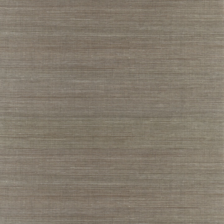 Jiao Metallic Sisal Grasscloth Wallpaper (Set of 2)