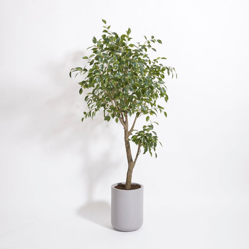 Artificial Ficus Tree with Artisan Planter image number 6