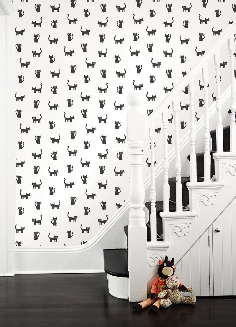 Delia Black Kitty Wallpaper image number 2