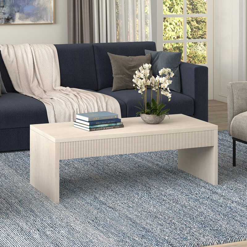 Hudson&Canal Lawrence 48 Wide Rectangular Coffee Table in Alder White