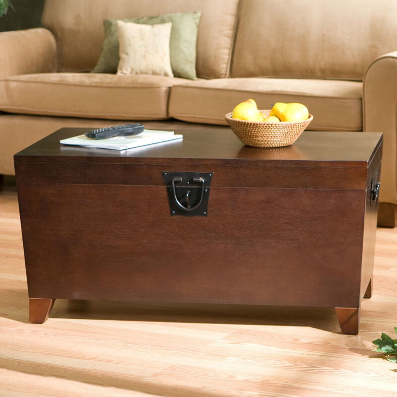 Contemporary Lift-Top Coffee Table with Hidden Storage Trunk and Modern Design