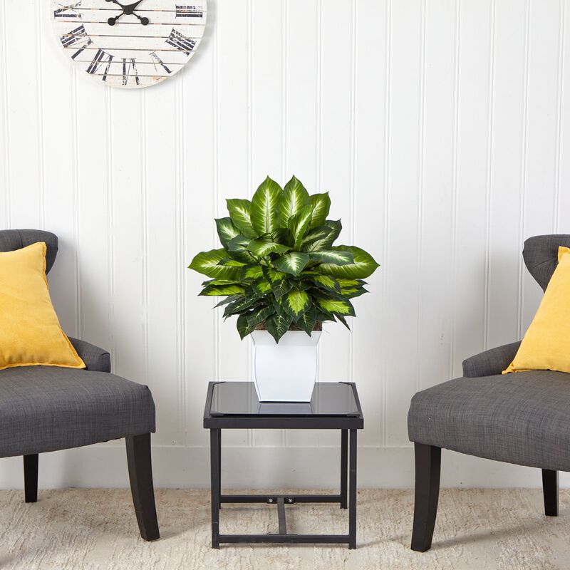 Hivvago 2" Golden Dieffenbachia Artificial Plant in White Metal Planter