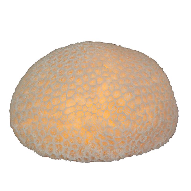 6" Resin LED Brain Coral Lamp - Nautical Decor image number 4