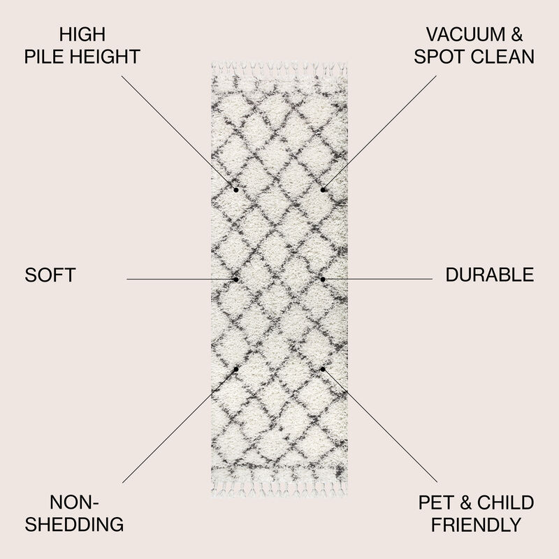 Mercer Shag Plush Tassel Moroccan Geometric Trellis Area Rug