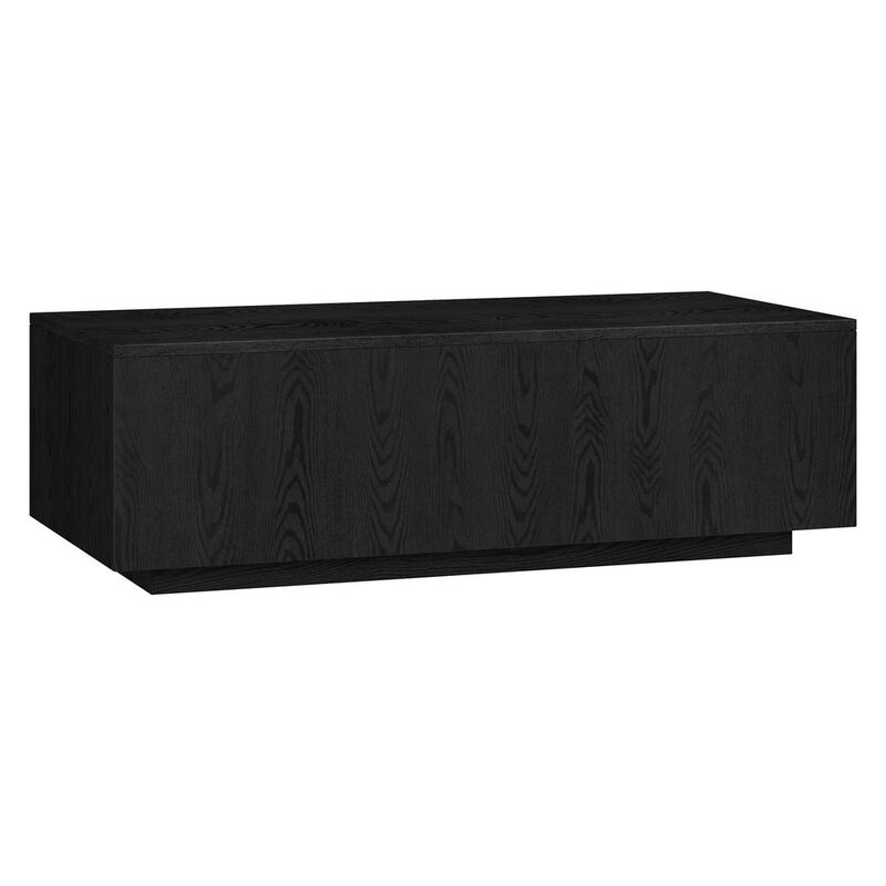 Hudson&Canal Paxton 48 Wide Rectangular Coffee Table in Black Grain